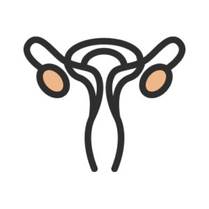 Icon Depicting Internal Structure of a Vagina